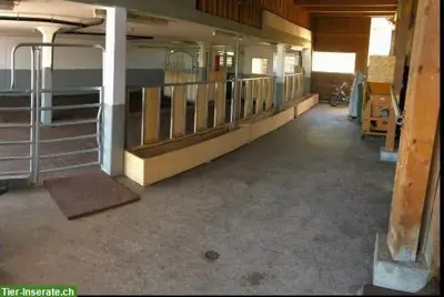 1 freier Einstellplatz in Wallachgruppe, Kanton Appenzell A.R.