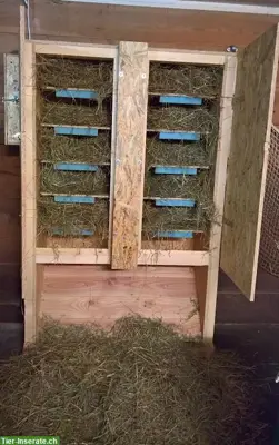 Pferde-Fütterungsautomat, Heuautomat, Futterautomat