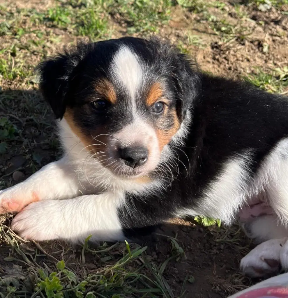 Jackymix sucht neues Wirkungsfeld
