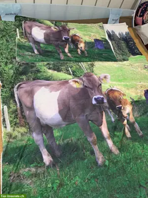 Bettwäsche Duvet bedrucken mit eigenem Foto Wunschgrösse möglich