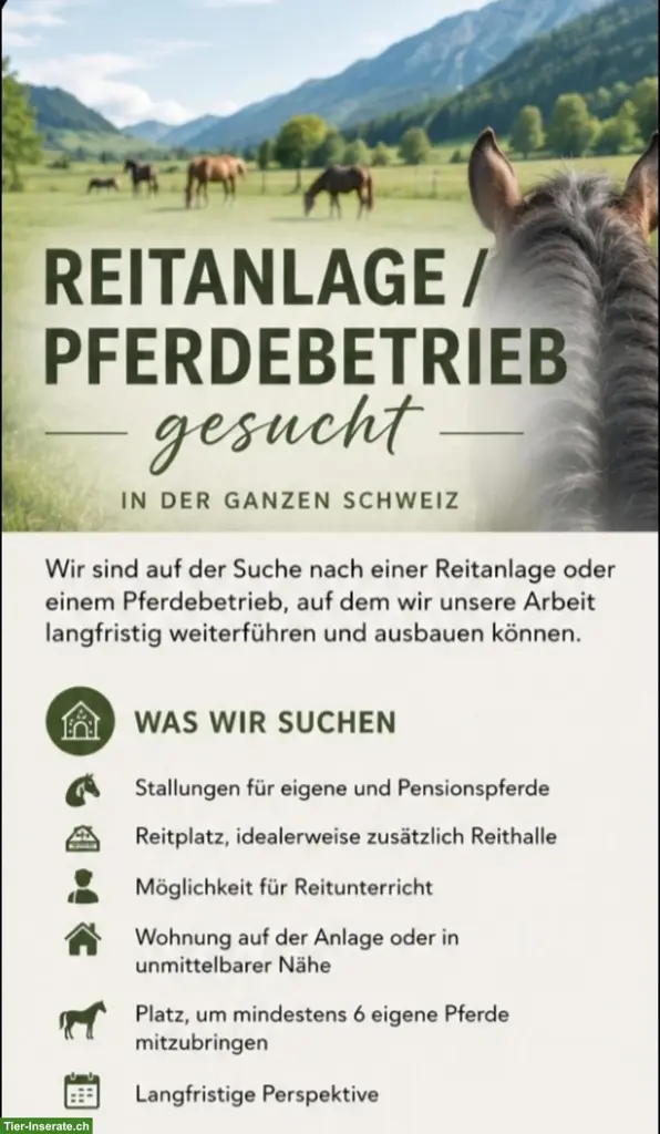 Reitanlage / Reiterhof / Pferdebetrieb zu pachten gesucht
