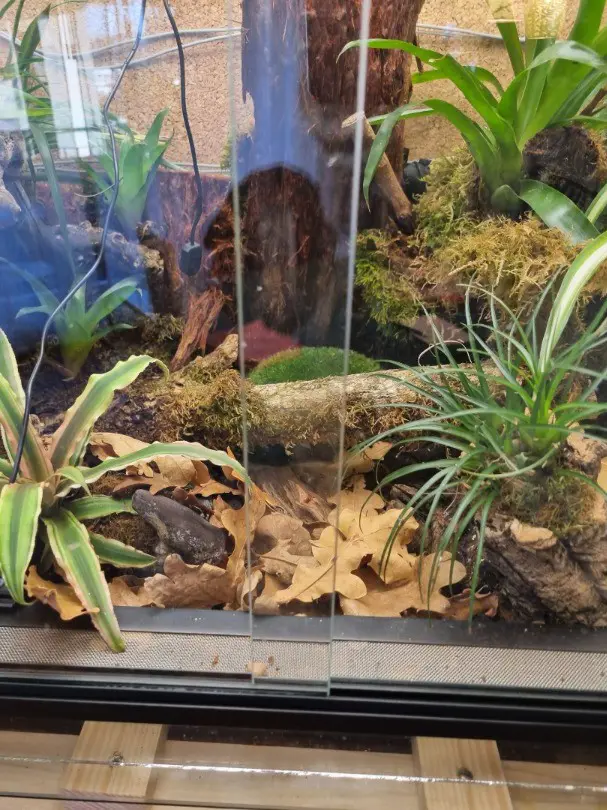 Terrarium