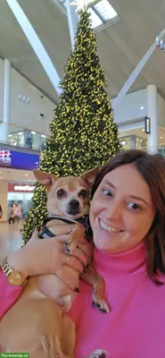 Hundebetreuung UND Ferienbetreuung in Mägenwil im Aargau