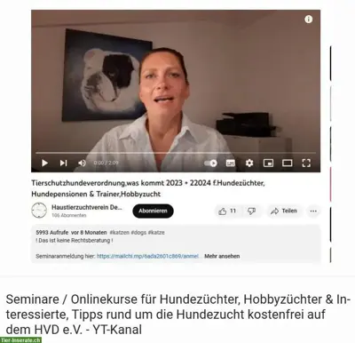 Online Hundeseminar, Züchtervortrag zu Hundegeburt & Vorbereitung