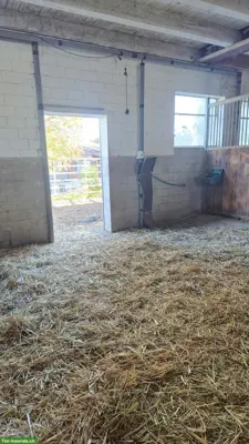 Auslaufboxe zu vermieten, Beromünster LU