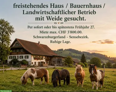 Freistehendes Haus / Bauernhaus GESUCHT mit Weideland, BE/FR
