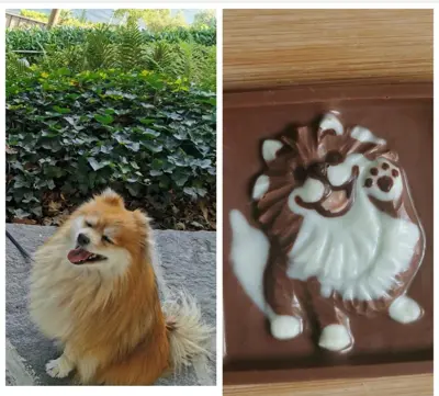 Hunde aus Schoggi
