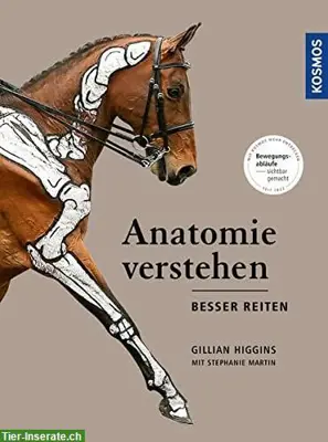 Reitsport- und Dressurbücher | Alles rund ums Reiten