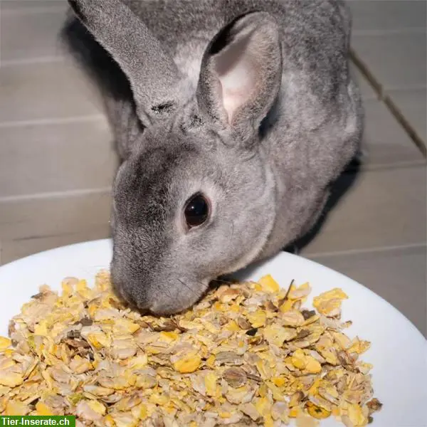 Süsslupinen Snack für Kaninchen und Nager