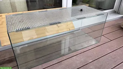Nagerterrarium zu verkaufen