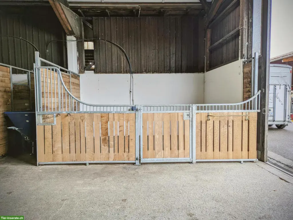 Freie Pferdeboxen im Pferdeparadies