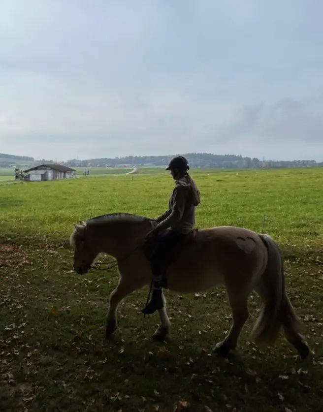 Reiterin sucht Reitbeteiligung