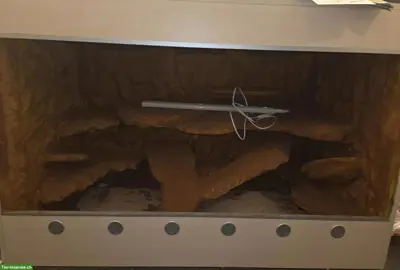 Terrarium mit Rückwand
