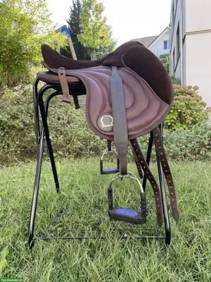 NEUES Signum-Paddle (Gr. M) in toller Optik 😍🐴