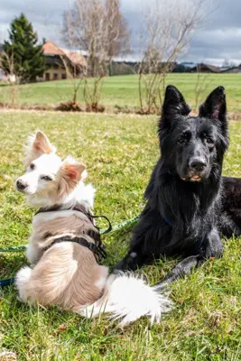Liv und Bruce – gemeinsam stark