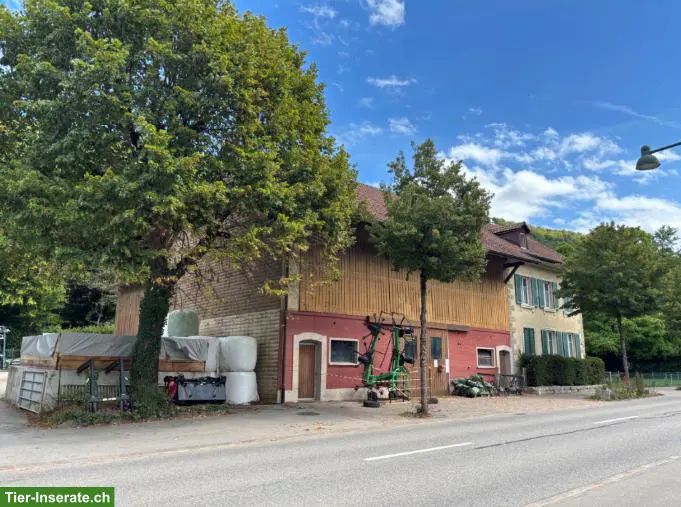 Grosszügiges Bauernhaus mit 2 Wohnungen, Stall & Scheune