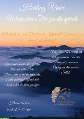 Healing Voice - wenn dein Tier zu Dir spricht