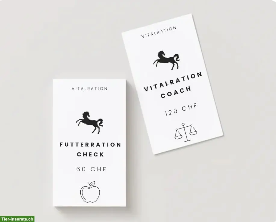 Vitalcoach für Pferd und Pony