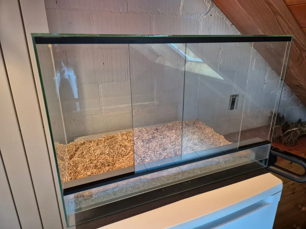 2 Terrarien