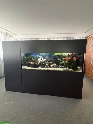 Modernes Design-Aquarium zu verkaufen