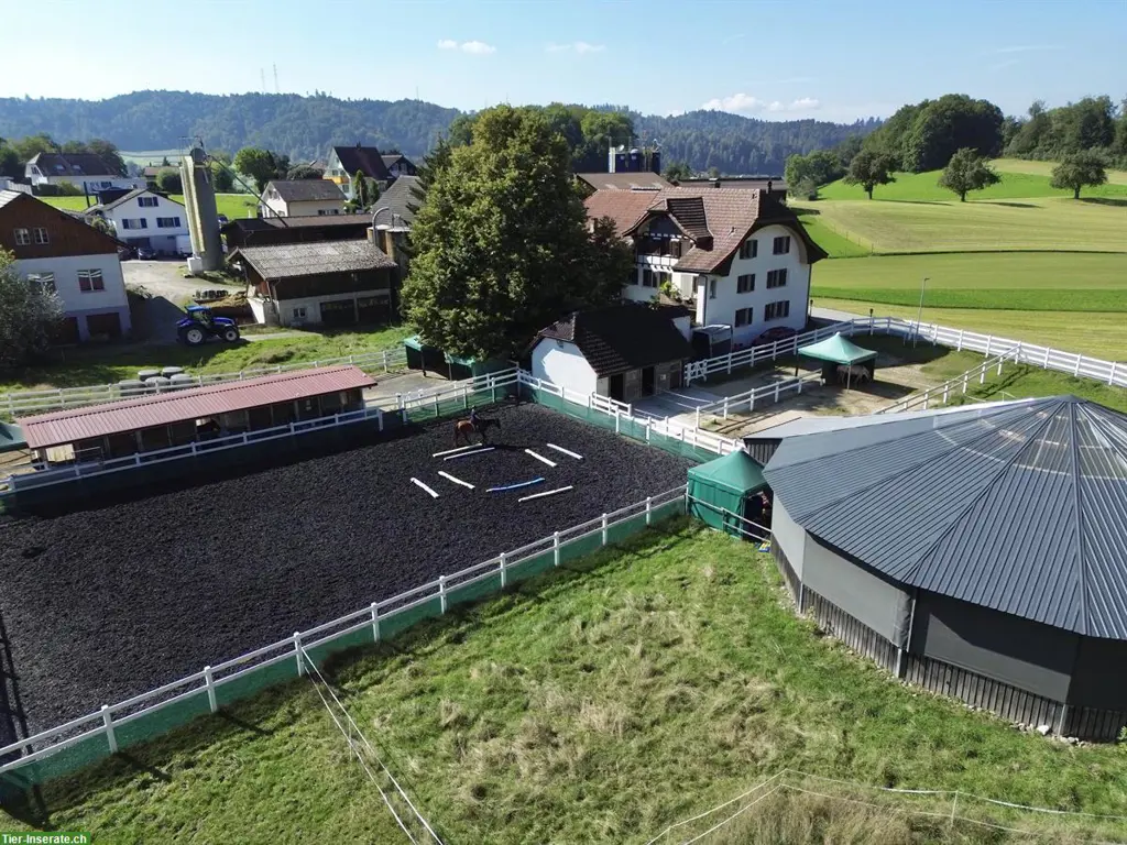 1 Platz frei im 2er Offenstall in 5054 Kirchleerau