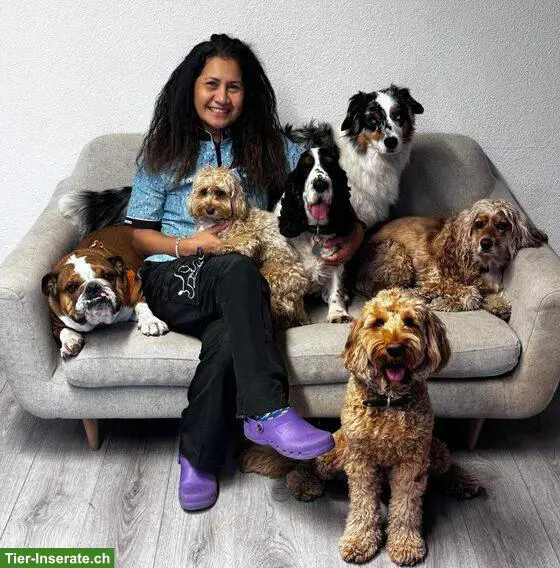 Hundesalon Pelos y Patas in Küsnacht ZH