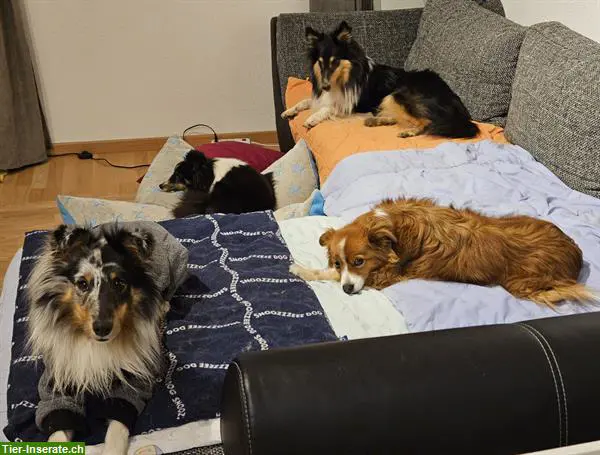 unnamed