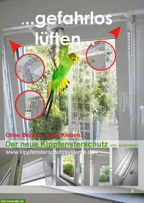 Kippfensterschutz für Vögel von austmetall, System 4, OHNE Bohren
