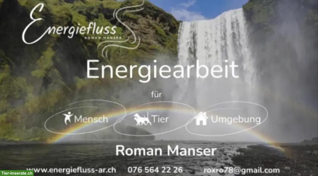 Energiearbeit für Mensch, Tier und Umgebung
