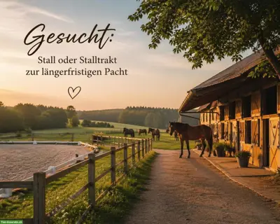 Gesucht: Stall / Stalltrakt zur längerfristigen Pacht, TG, SG oder ZH