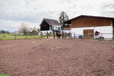 Befristete Pachtübernahme 3er Pferdestall, Oetwil am See