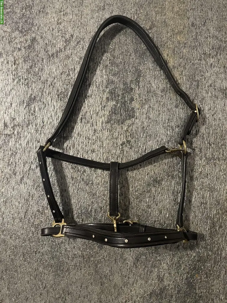 NEUE Lederhalfter mit Swarovskinieten, Grösse Cob