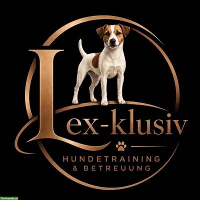 Freie Hunde-Trainingsplätze: Erziehung, Sport und Plausch