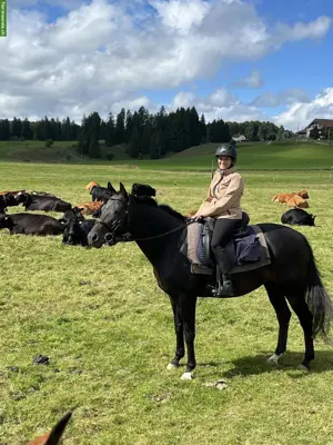 Biete Reitbeteiligung Nähe Waldkirch SG, 2x pro Woche