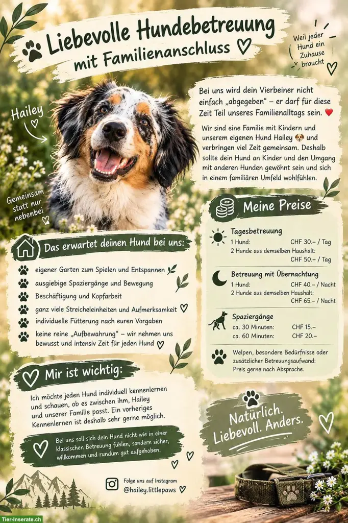 Liebevolle Hundebetreuung mit Familienanschluss 🐾