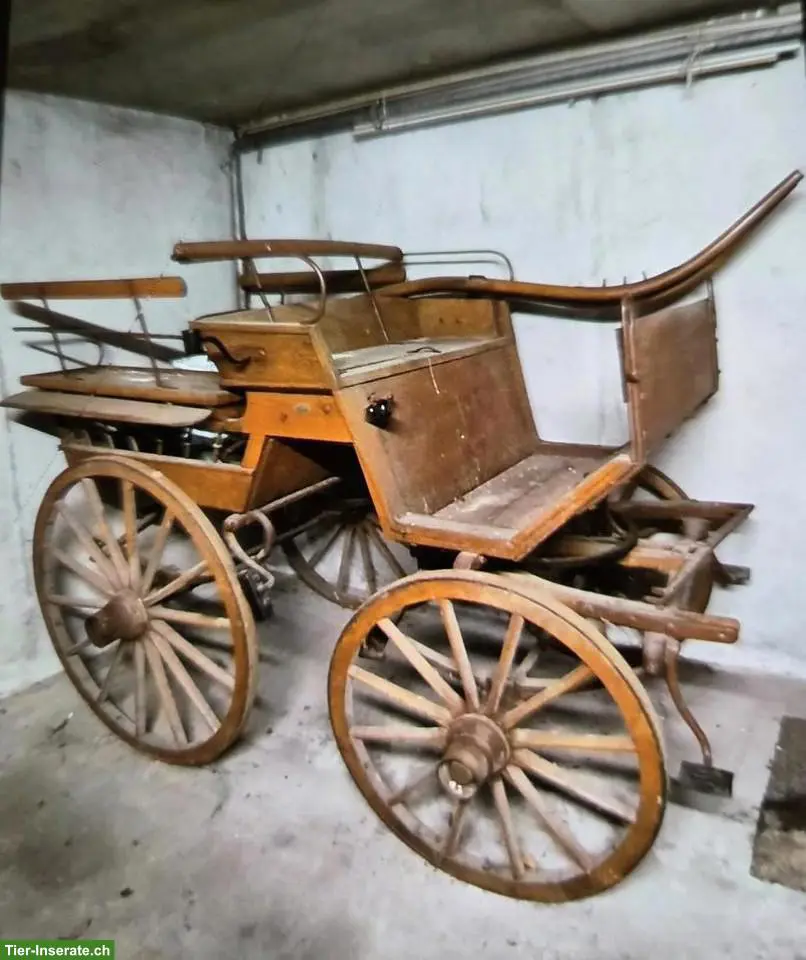 Einspänner-Kutsche / Bernerwagen "Break" zu verkaufen