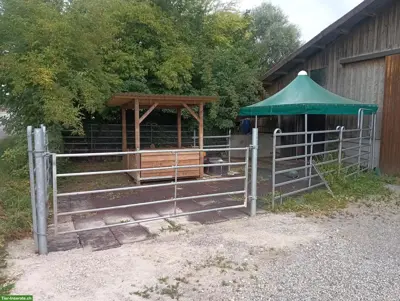 2 Auslaufboxen mit Option für Offenstall in Unterlunkhofen AG