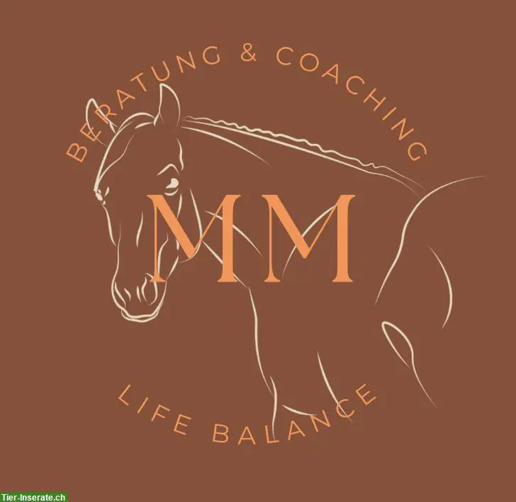 Pferdegestütztes Coaching | Manta Life-Balance