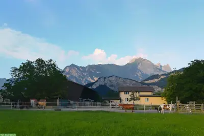 Pferde Offenstall in Sargans auf dem Aeulihof