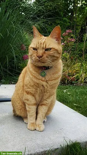 Katzensitter Region U'Siggenthal, Turgi, Brugg, bis Bad-Zurzach..