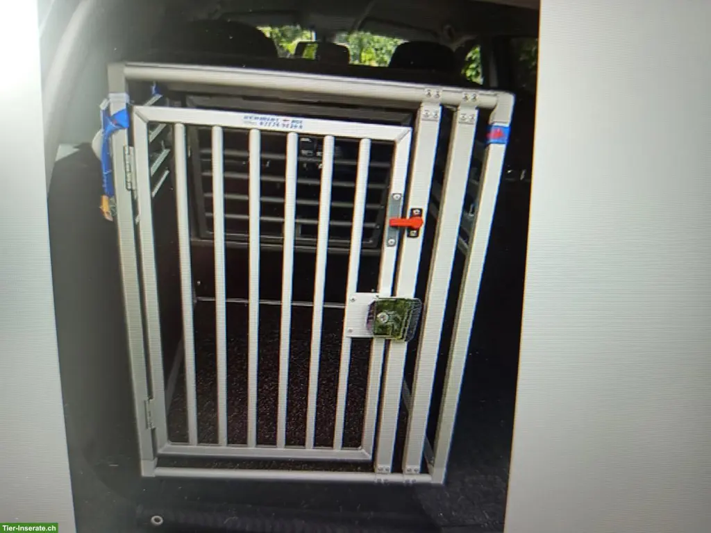 Schmidt Auto-Hundebox mit Fluchttüre, neuwertig
