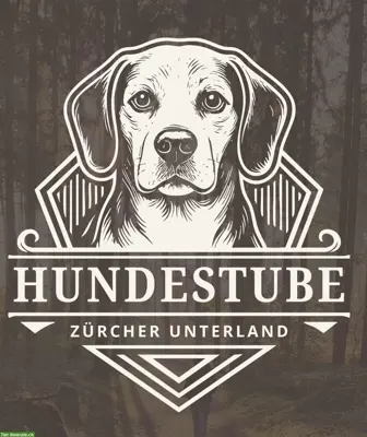 Ganztagesbetreuung Ihrer Lieblinge / Hundebetreuung