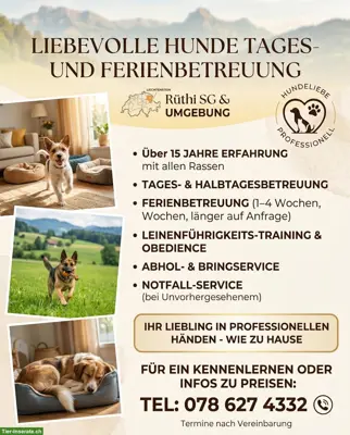 🐾 Liebevolle Hunde Tages- und Ferienbetreuung 🐾
