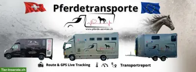 Pferdetransporte, Klinikfahrten, Pferdeverzollung