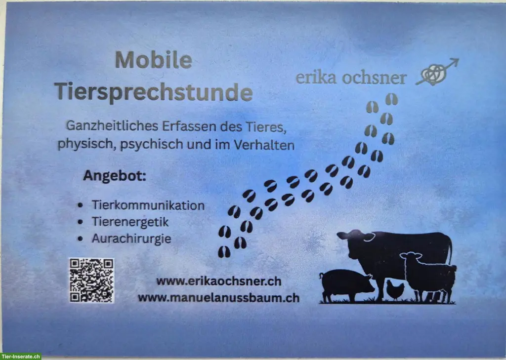 Energetisches Heilen - Tiere ganzheitlich wahrnehmen