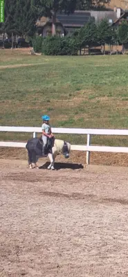 Suche Spazier-/Pflegebeteiligung Pony