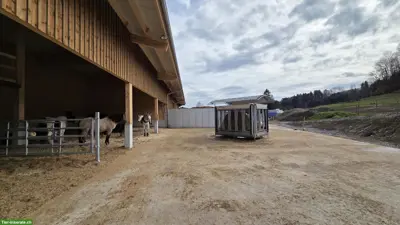 Offen-Gruppenstall, ZH-Oberland - Winterthur, mit bedampftem Heu