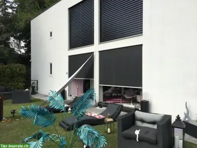 Idyllische, futuristische Villa, viel Ruhe und Sonnenschein