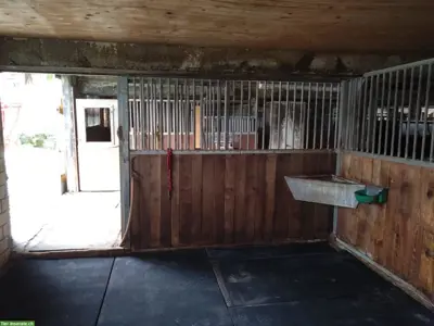 Grosse, helle Pferdebox auf Bauernhof zu vermieten, Ruswil LU