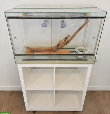 Terrarium mit Untermöbel & el. Installation, NEUWERTIG